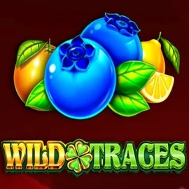 Slots logo of Wild Traces from Amusnet Interactive at Librabet Casino